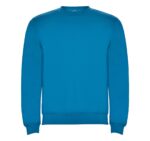 Реглан Clasica 280 ТМ Roly