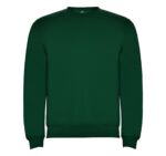 Реглан Clasica 280 ТМ Roly