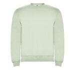 Реглан Clasica 280 ТМ Roly