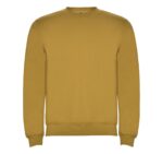 Реглан Clasica 280 ТМ Roly