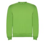 Реглан Clasica 280 ТМ Roly
